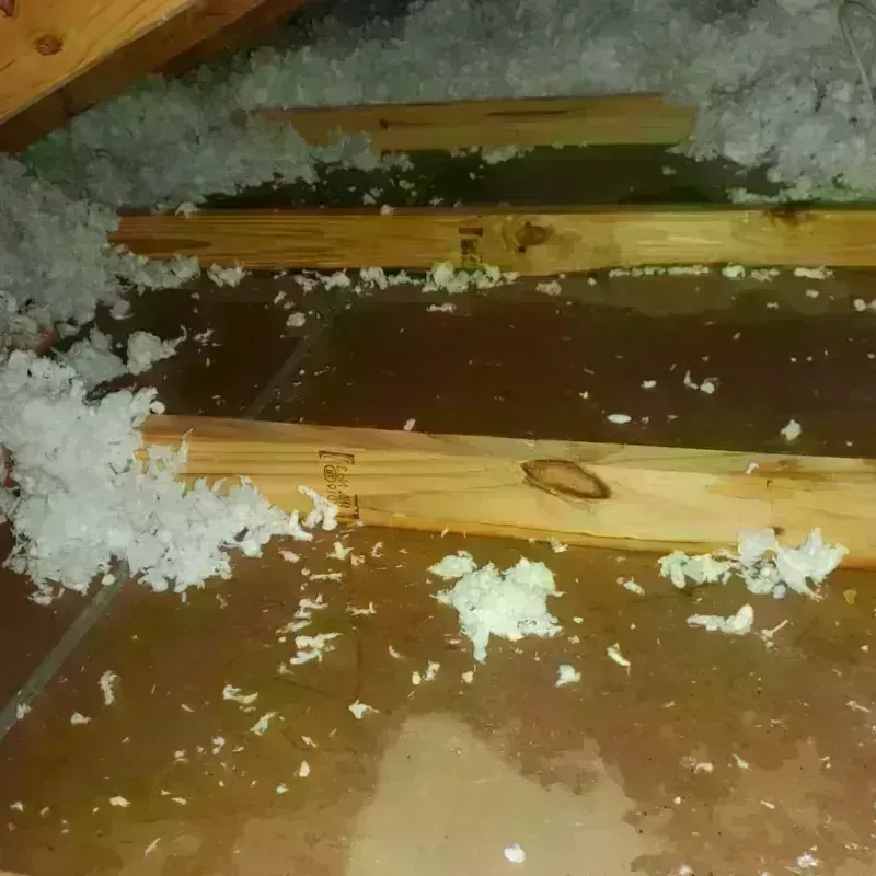 Attic Water Damage in Key Biscayne, FL